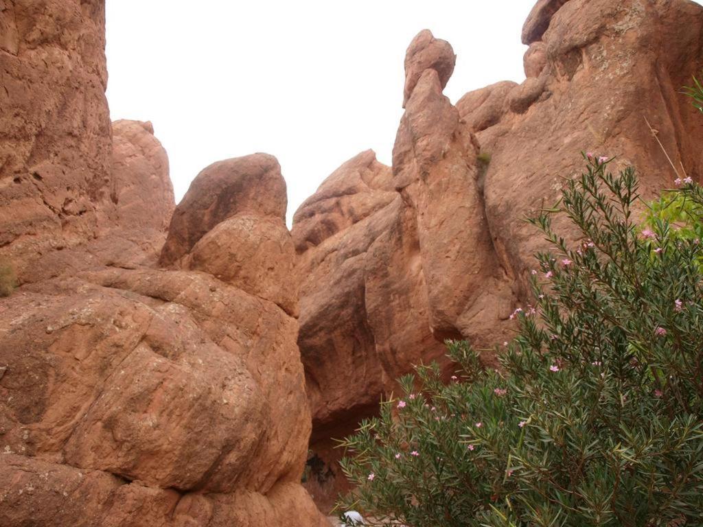 Dar Ahlam Dades Ait Ouaddar